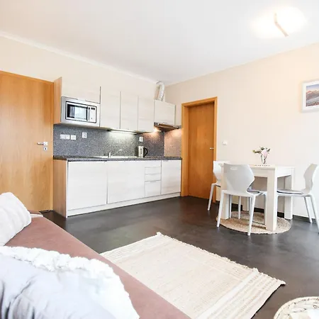 Resident B-1 By Interhome Harrachov